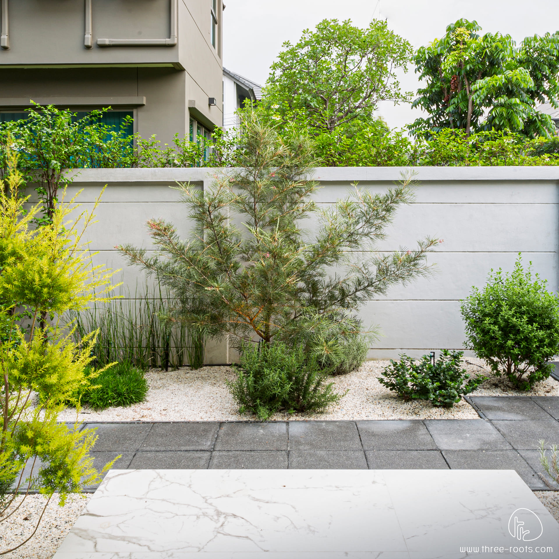 จัดสวน_หมู่บ้านบางกอก บูเลอวาร์ด (ปิ่นเกล้า-เพชรเกษม)_จัดสวนโมเดิร์นเซน